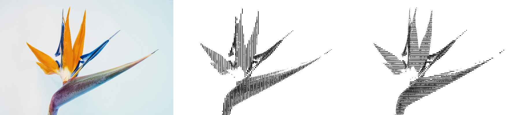 Line Orientation Example